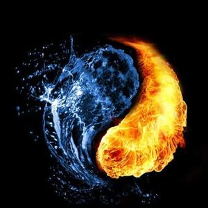 Meet your Posher, Jerry